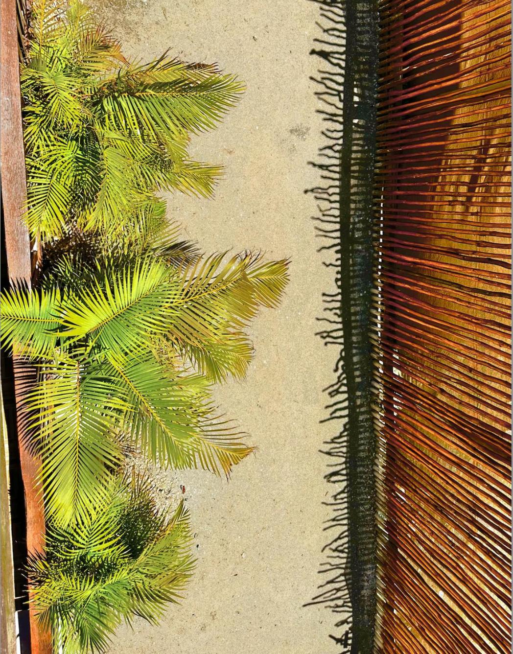 Ecoco Holbox - EcoChic - Cabañas de Madera - Holbox Retreat, foto 8