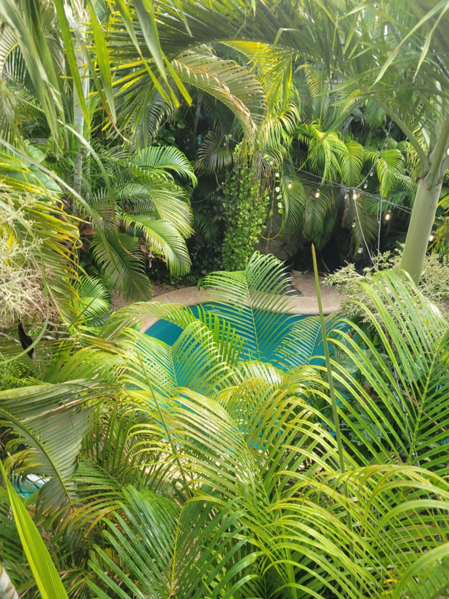 The Secret Garden Tulum, foto 16
