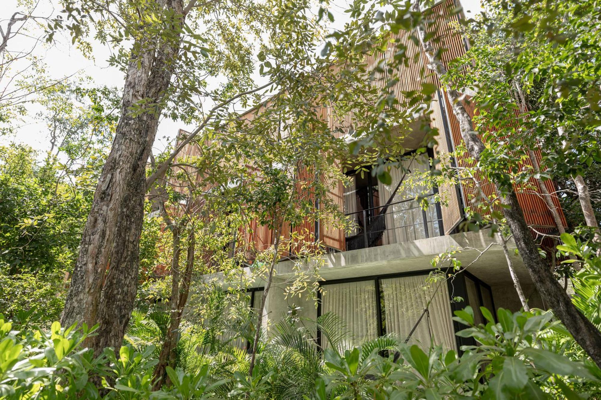 Seremonia Studios by Zamaia Tulum, foto 10