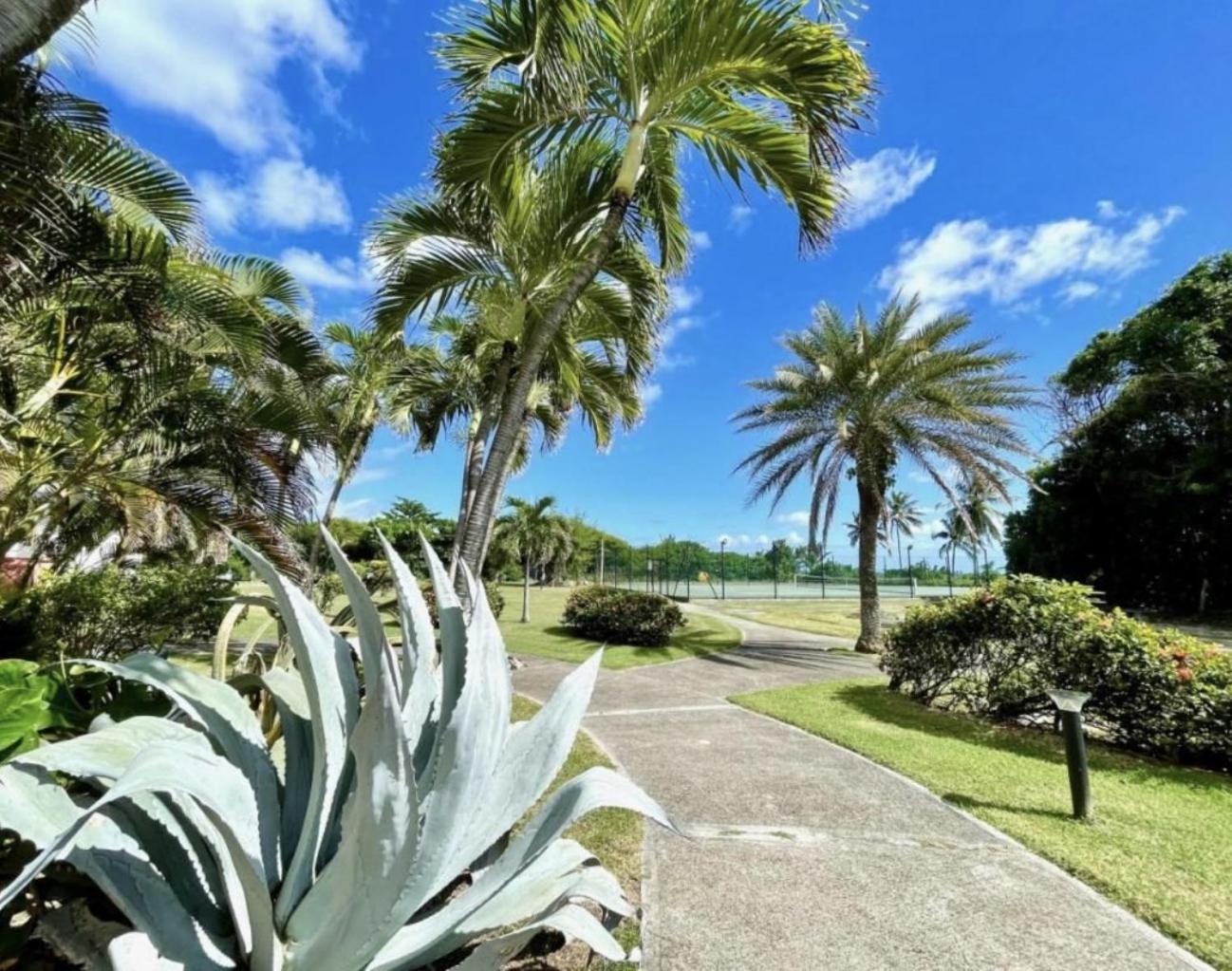 Studio Ananas Anse des rochers, foto 10