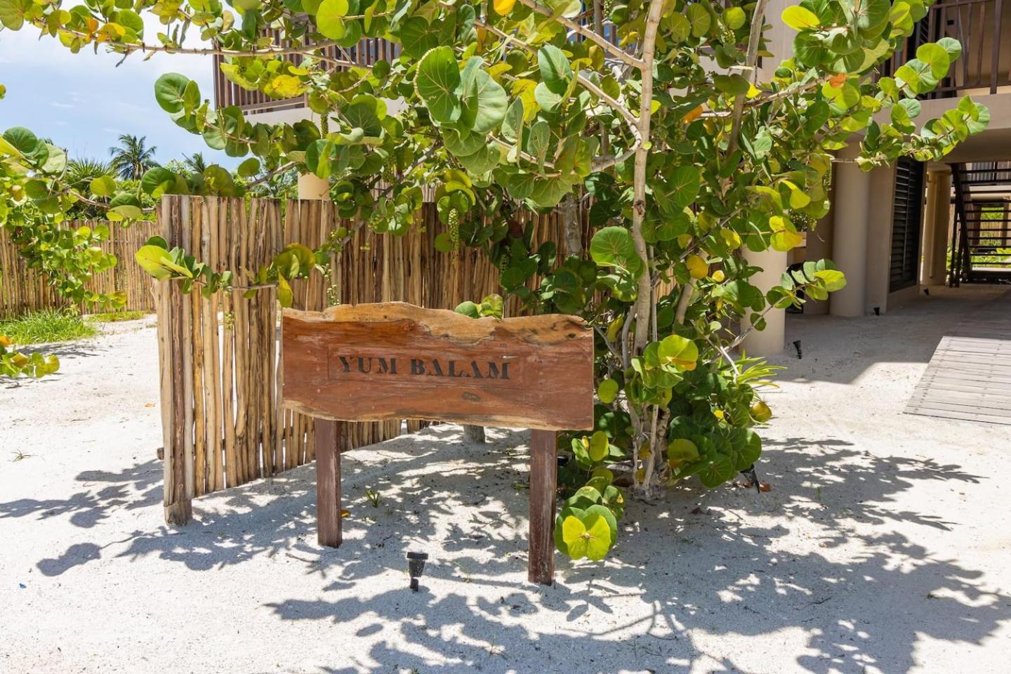 Ocean View Loft in Punta Cocos - C102, imagen 3