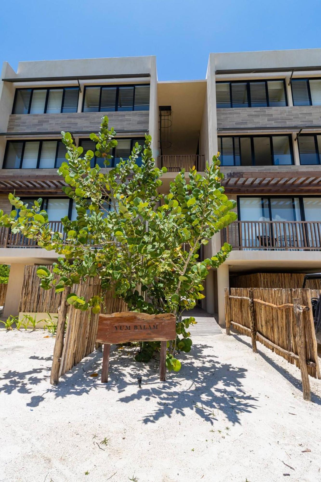 Ocean View Loft in Punta Cocos - C102, imagen 4