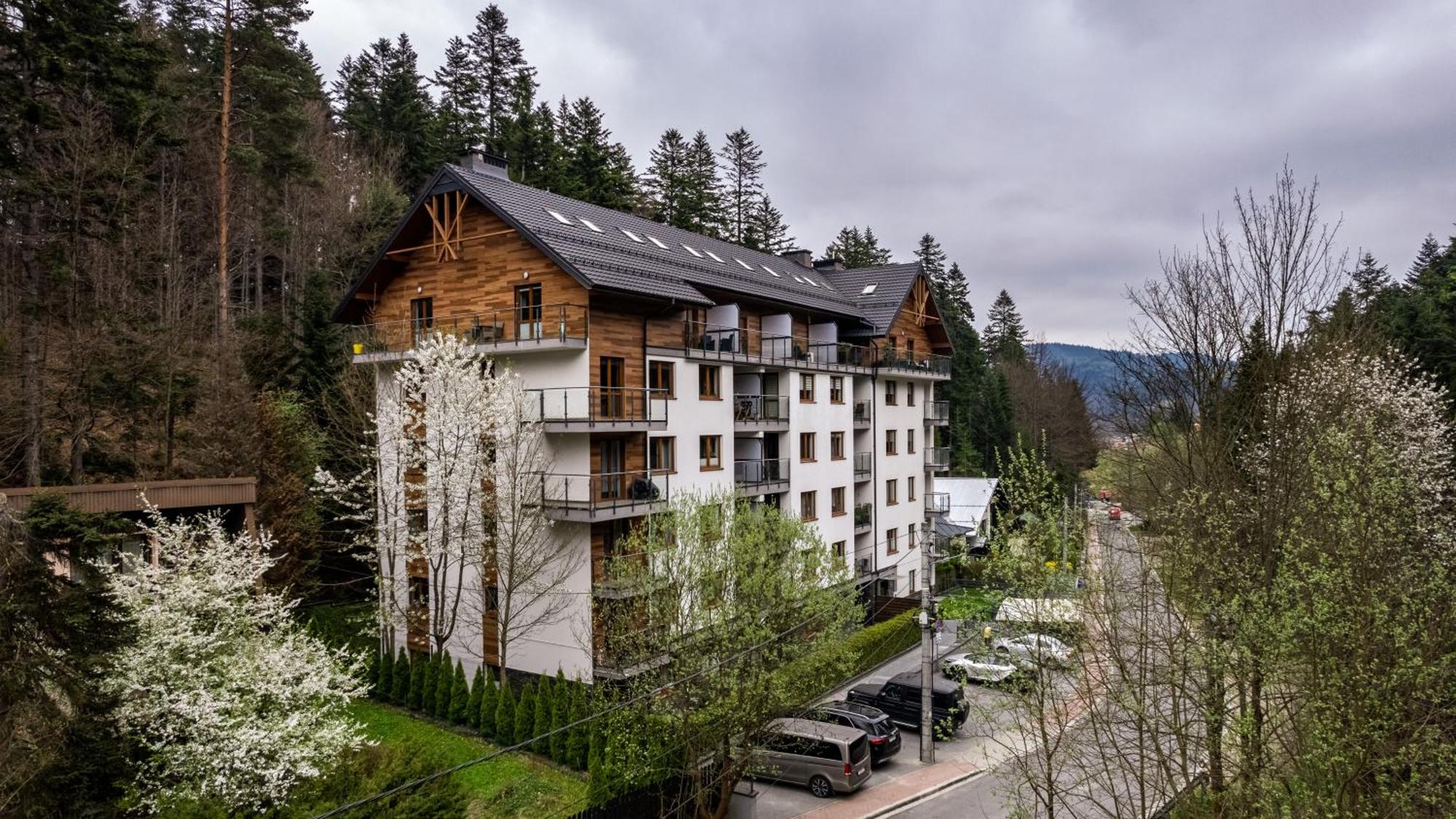 Zielony Las, Sun & Snow