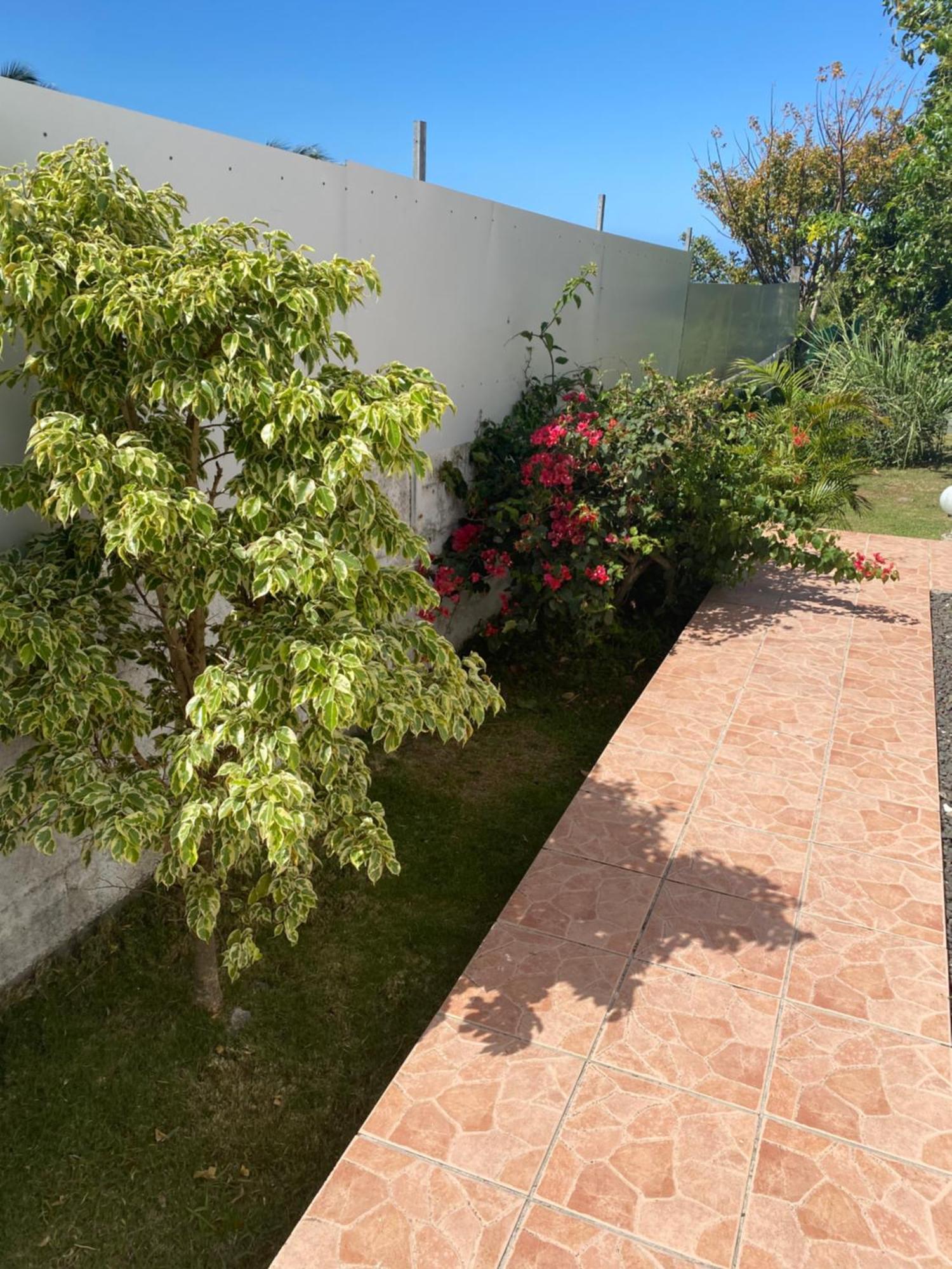Chalet Paradis, foto 7
