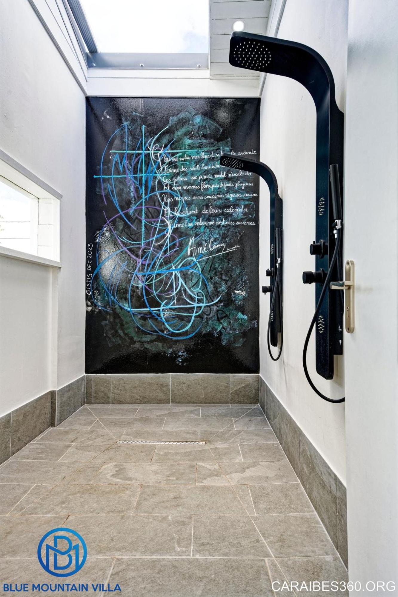 Blue Mountain Villa, foto 10