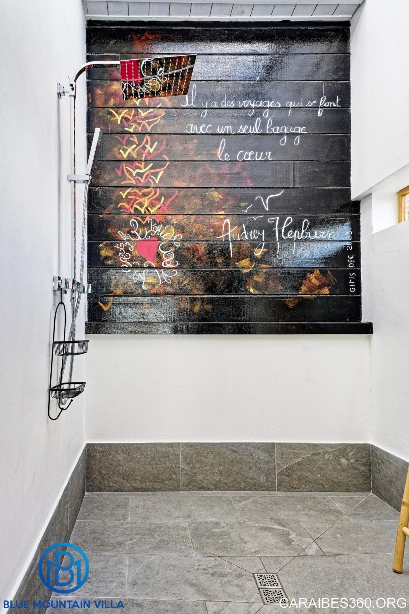 Blue Mountain Villa, foto 14