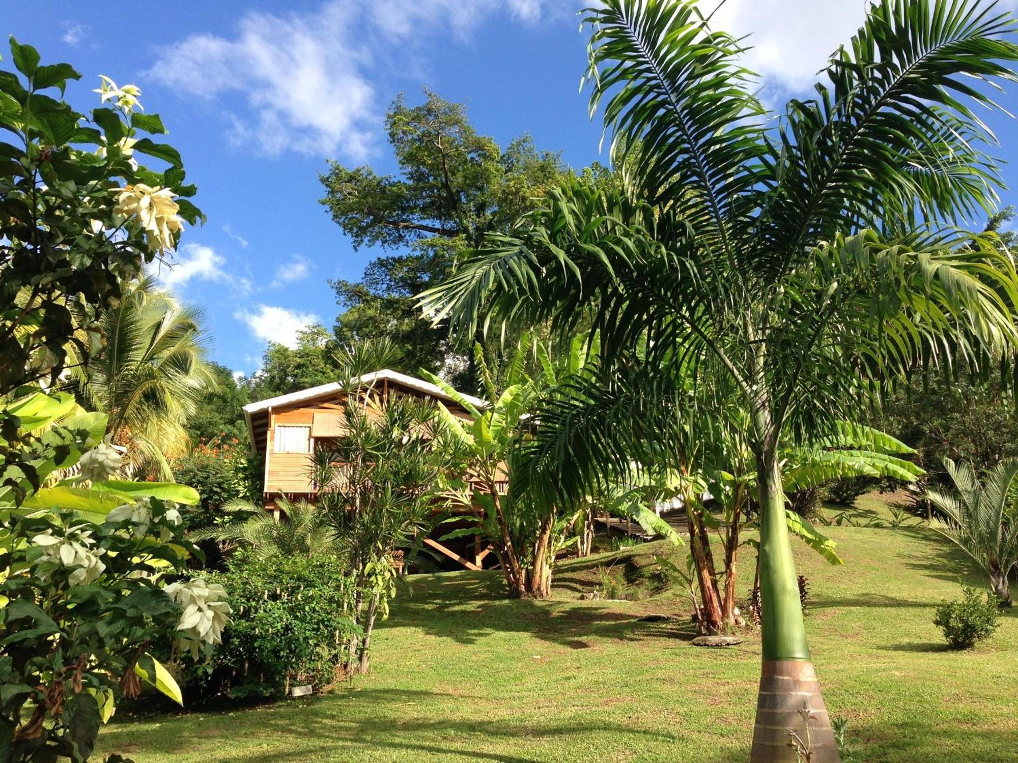 Gîte 4 étoiles, la Vieille Sucrerie St Claude Guadeloupe, Jacuzzi Spa privatif, vue exceptionnelle sur la mer des Caraïbes, imagen 5