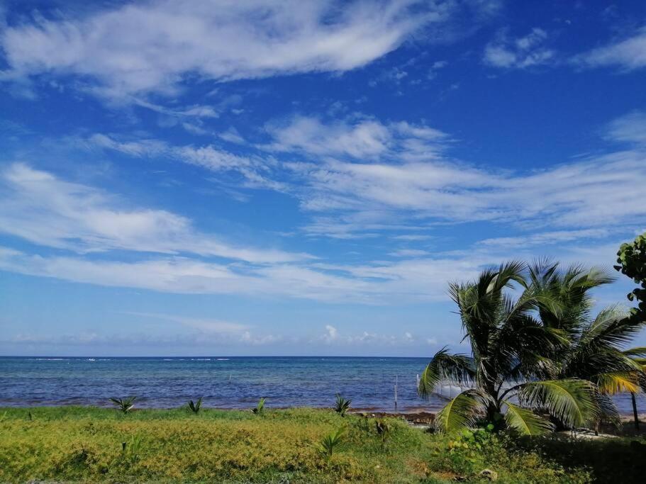 Mahaguay - Estudio frente a la playa, imagen 5