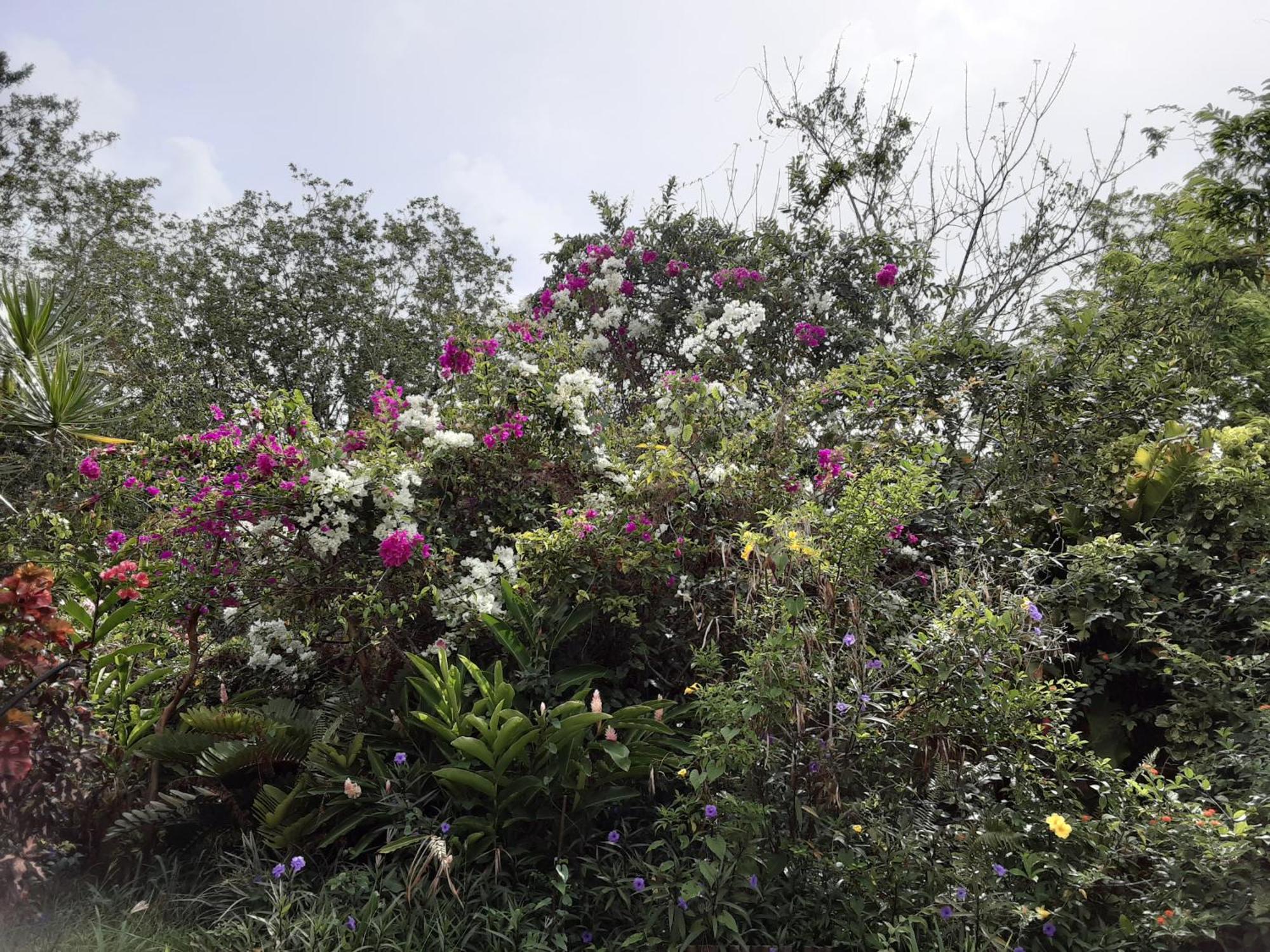 Chez Rosy, foto 14