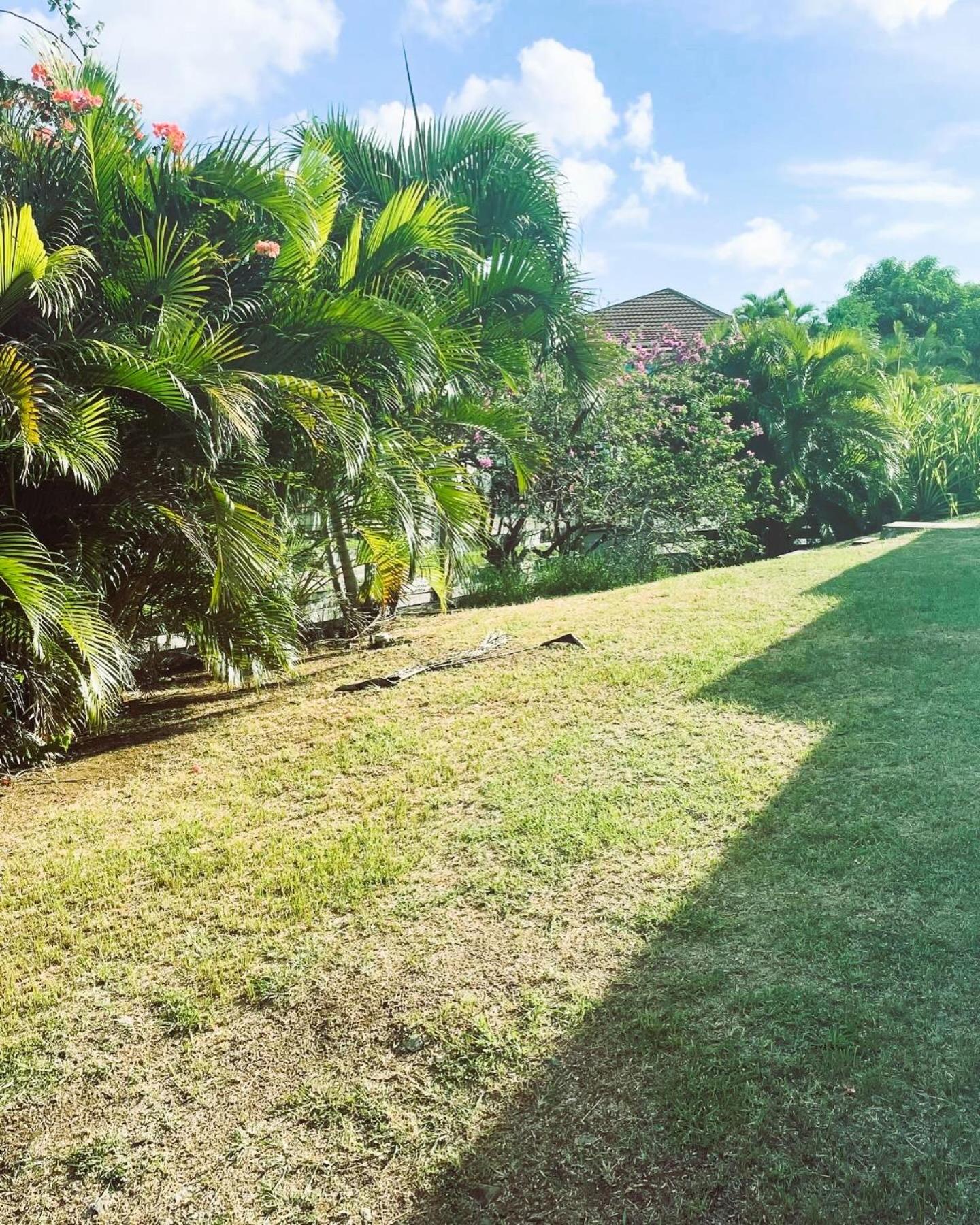 Villa Caraïbes, imagen 5