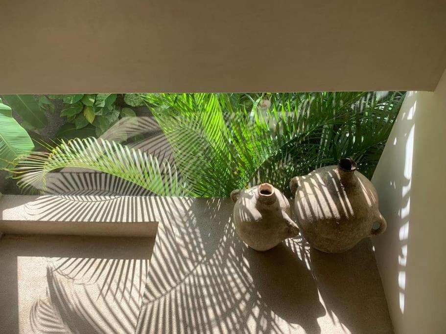 Villa Kaan in Holistika, Tulum - Private Pool, Garden & Rooftop, foto 15