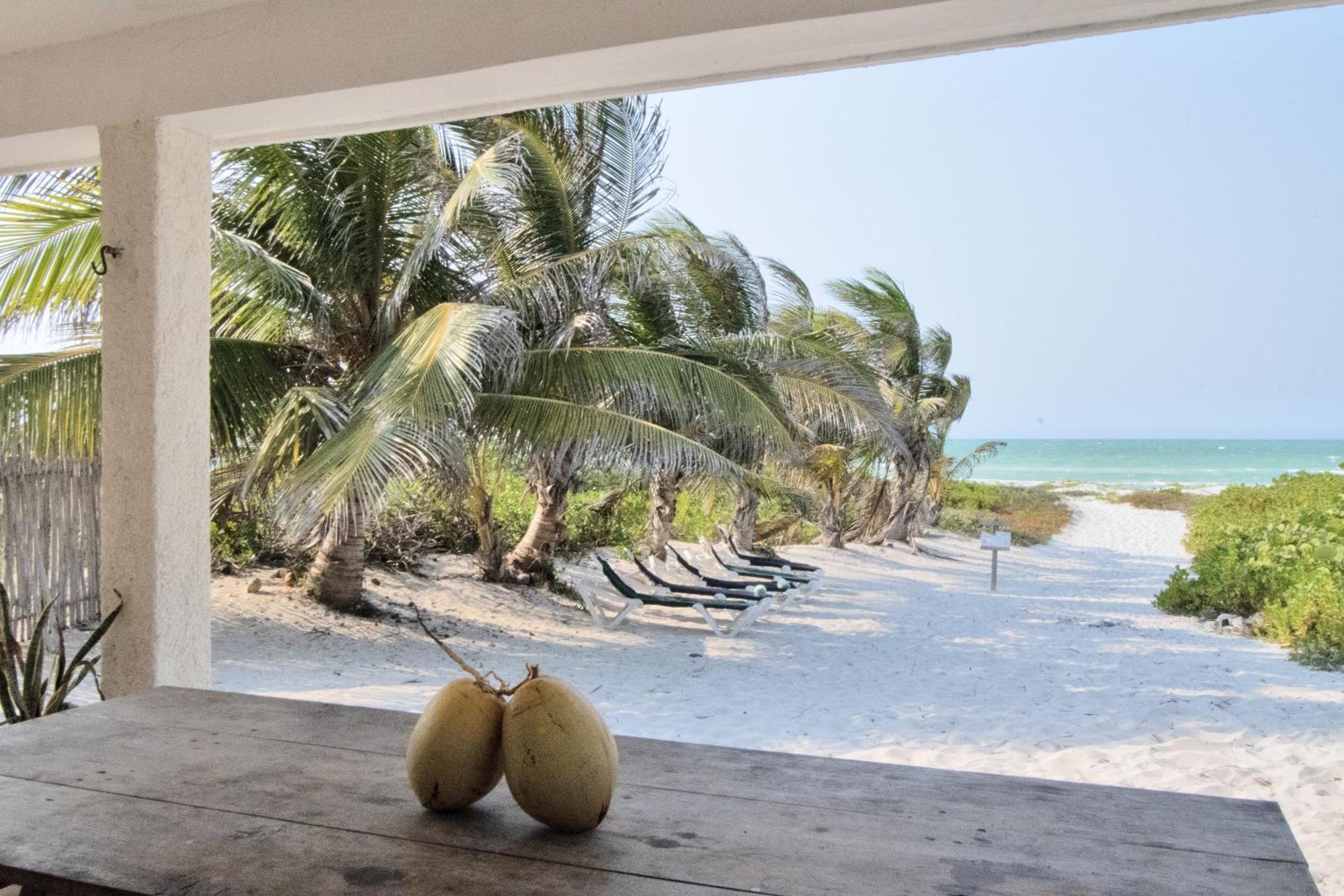 Arena y Mar Beachfront House, El Cuyo by The Spot Rentals, imagen 5