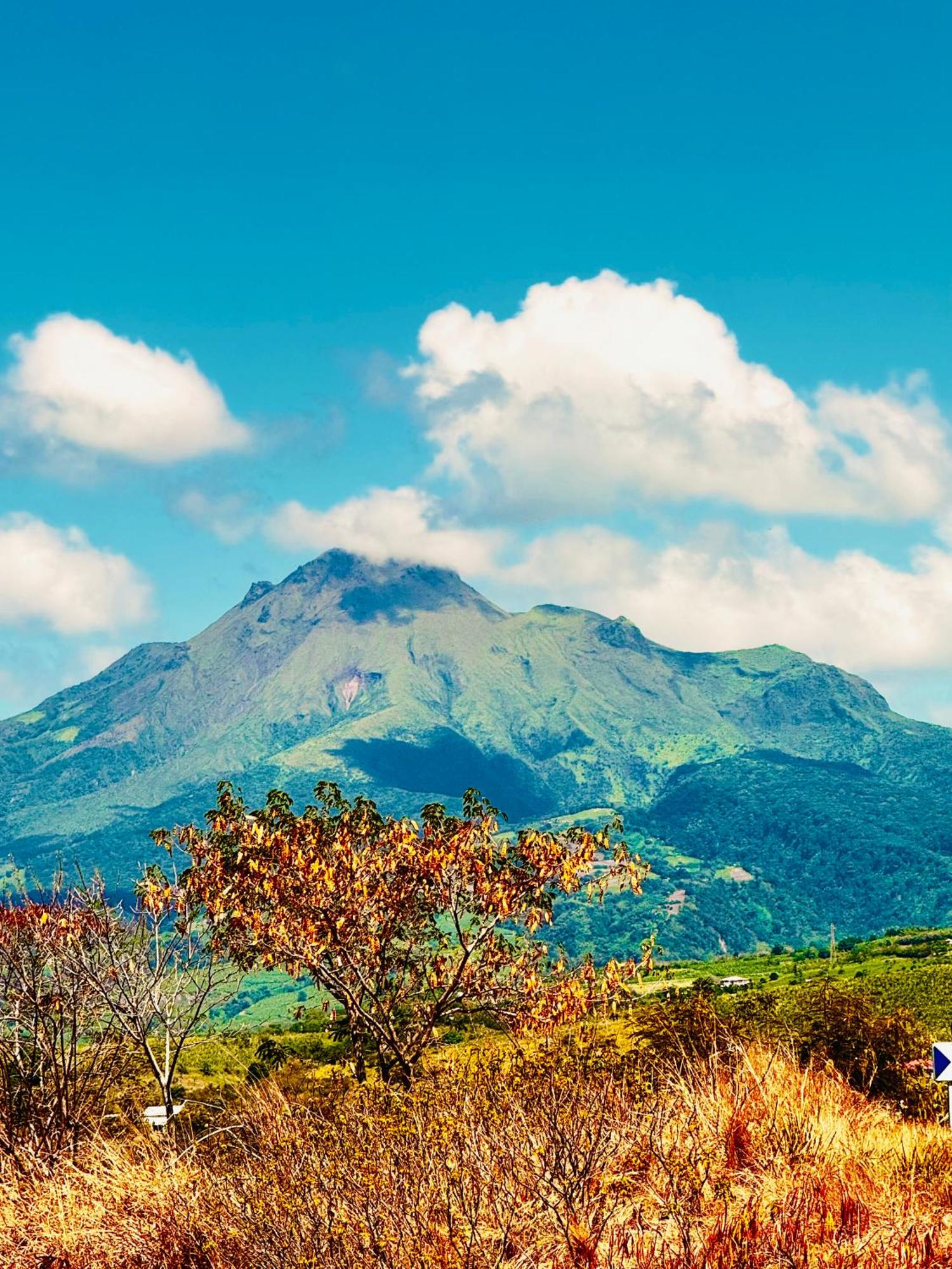 Blue Mountain Villa, imagen 5