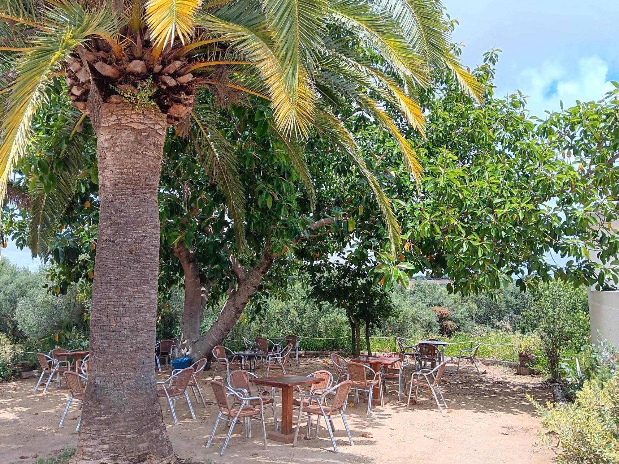El Palomar de la Breña — foto 5