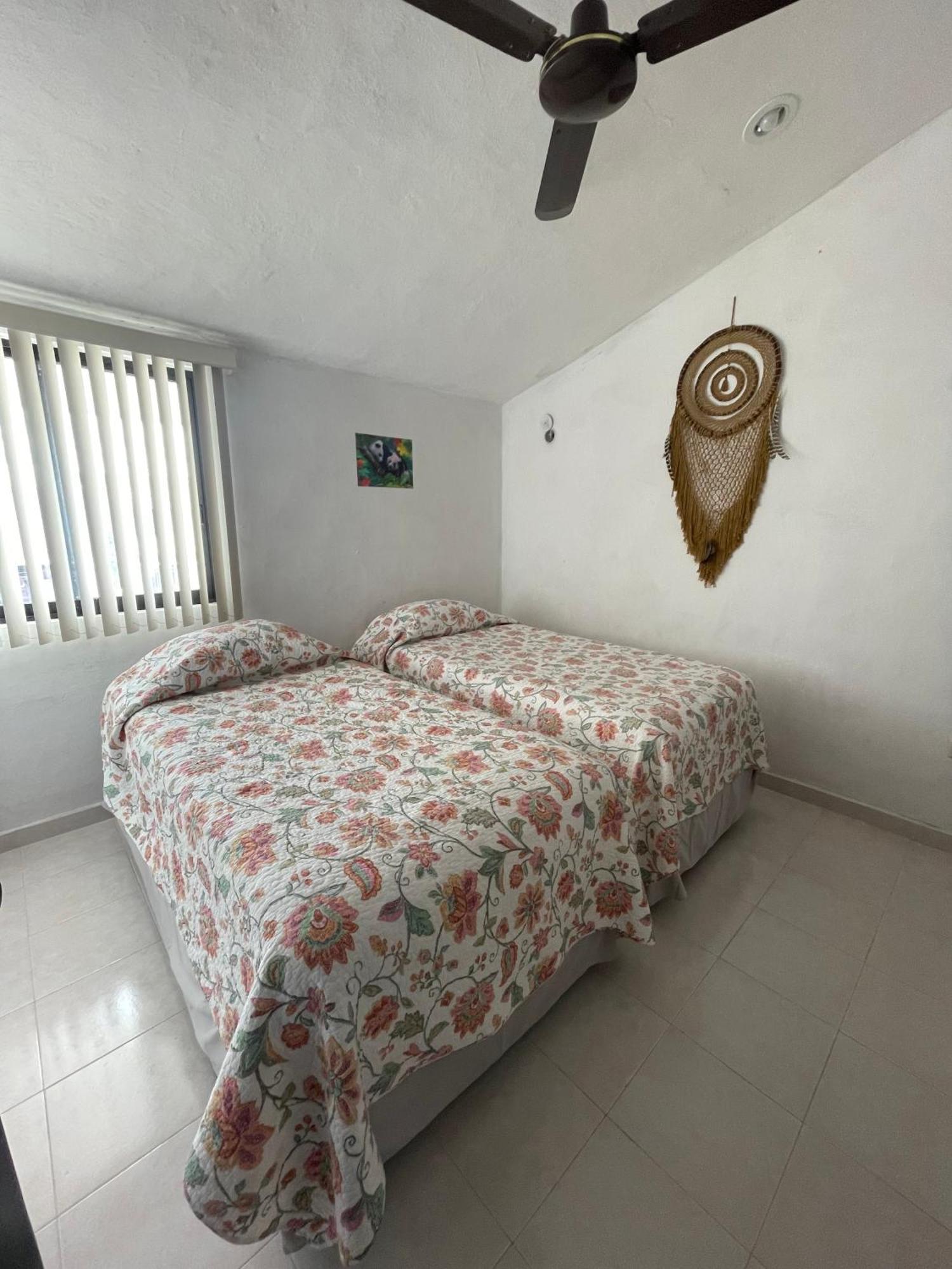 Merida Garcia GInerés, foto 14