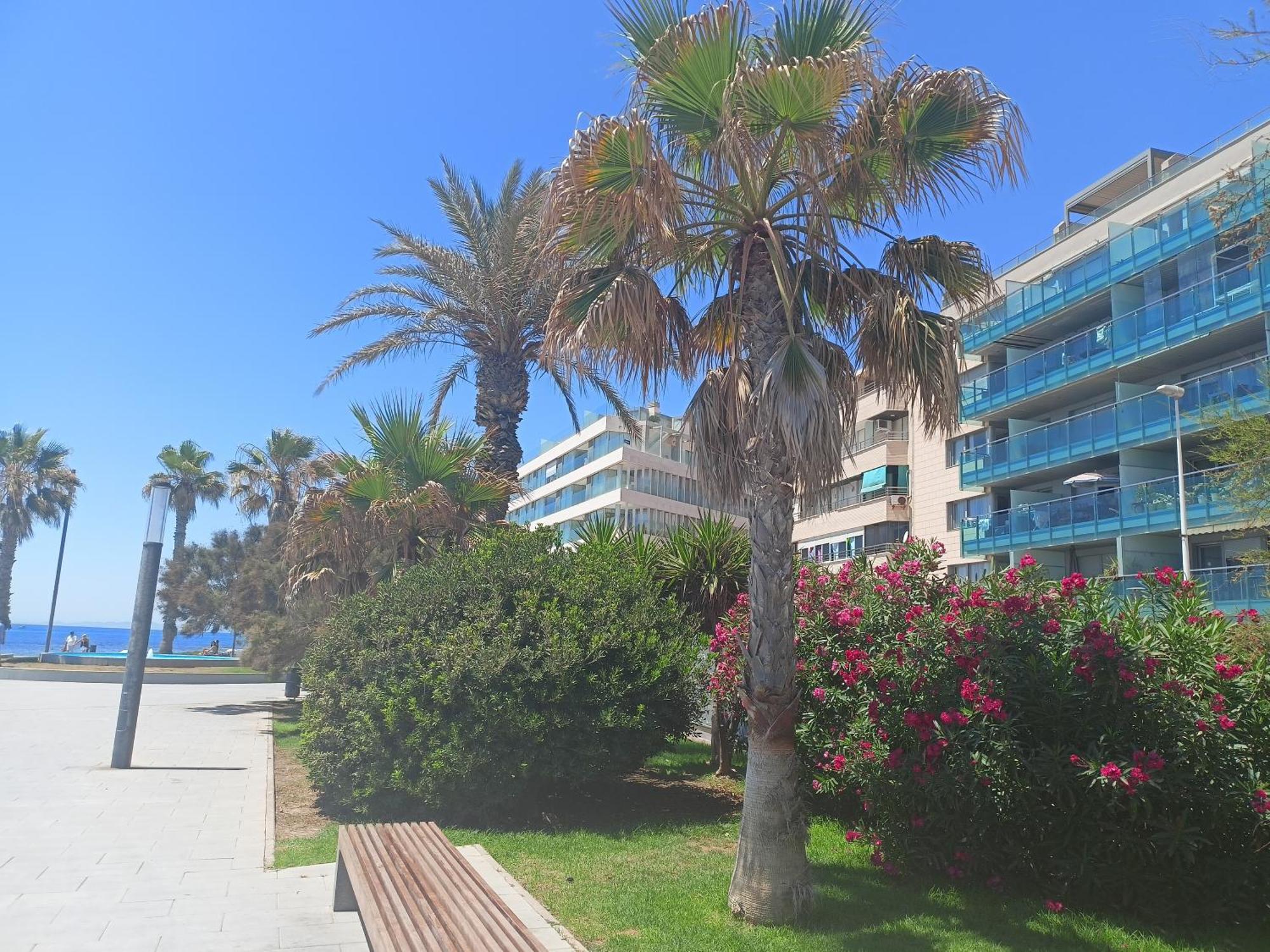 Vista del Mar
