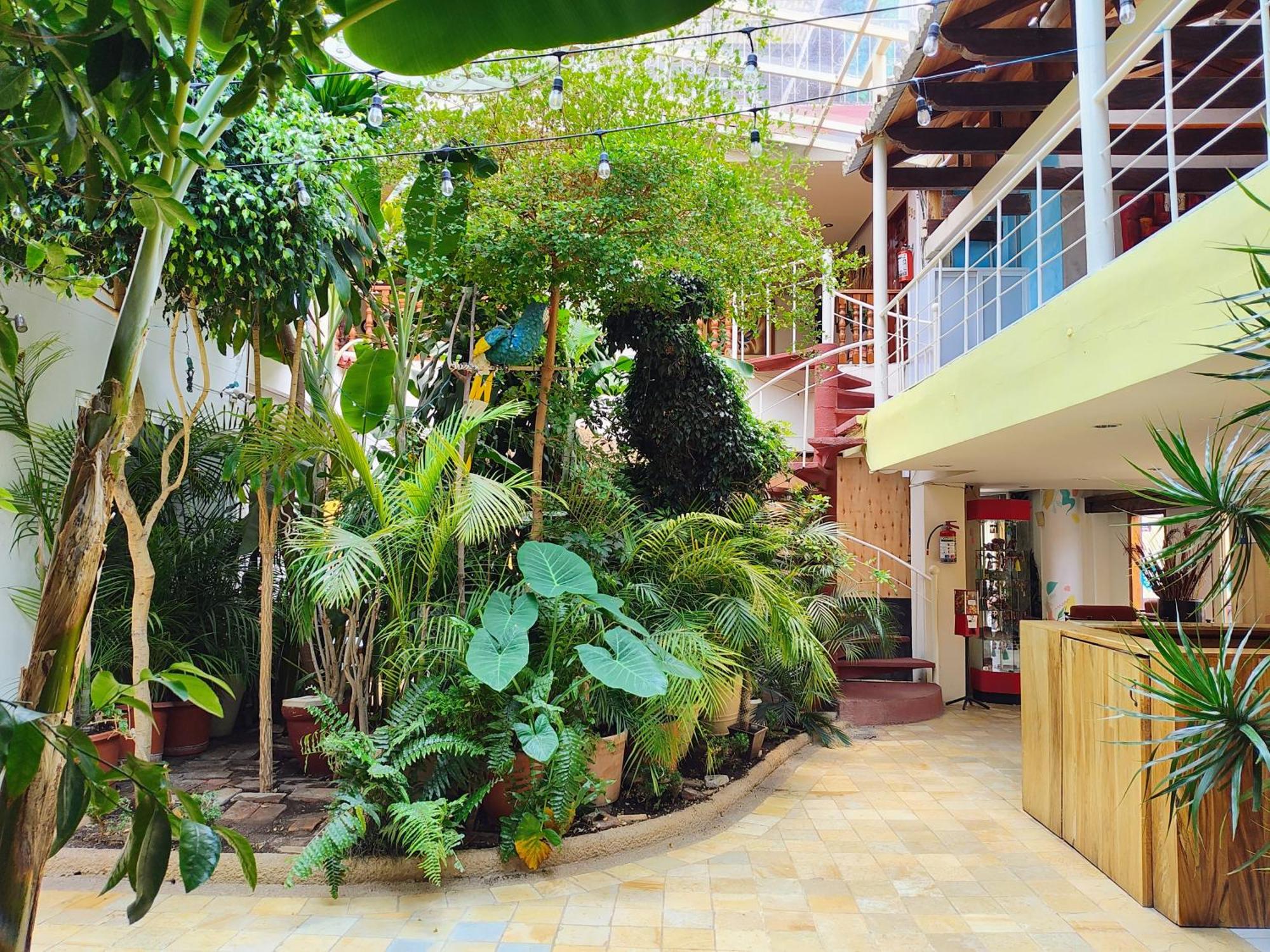 Hotel Barrio Antiguo, imagen 2