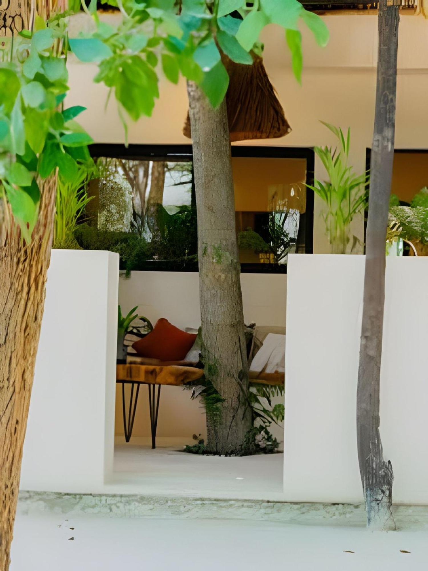 Nómadas Bacalar- Departamentos -, imagen 2
