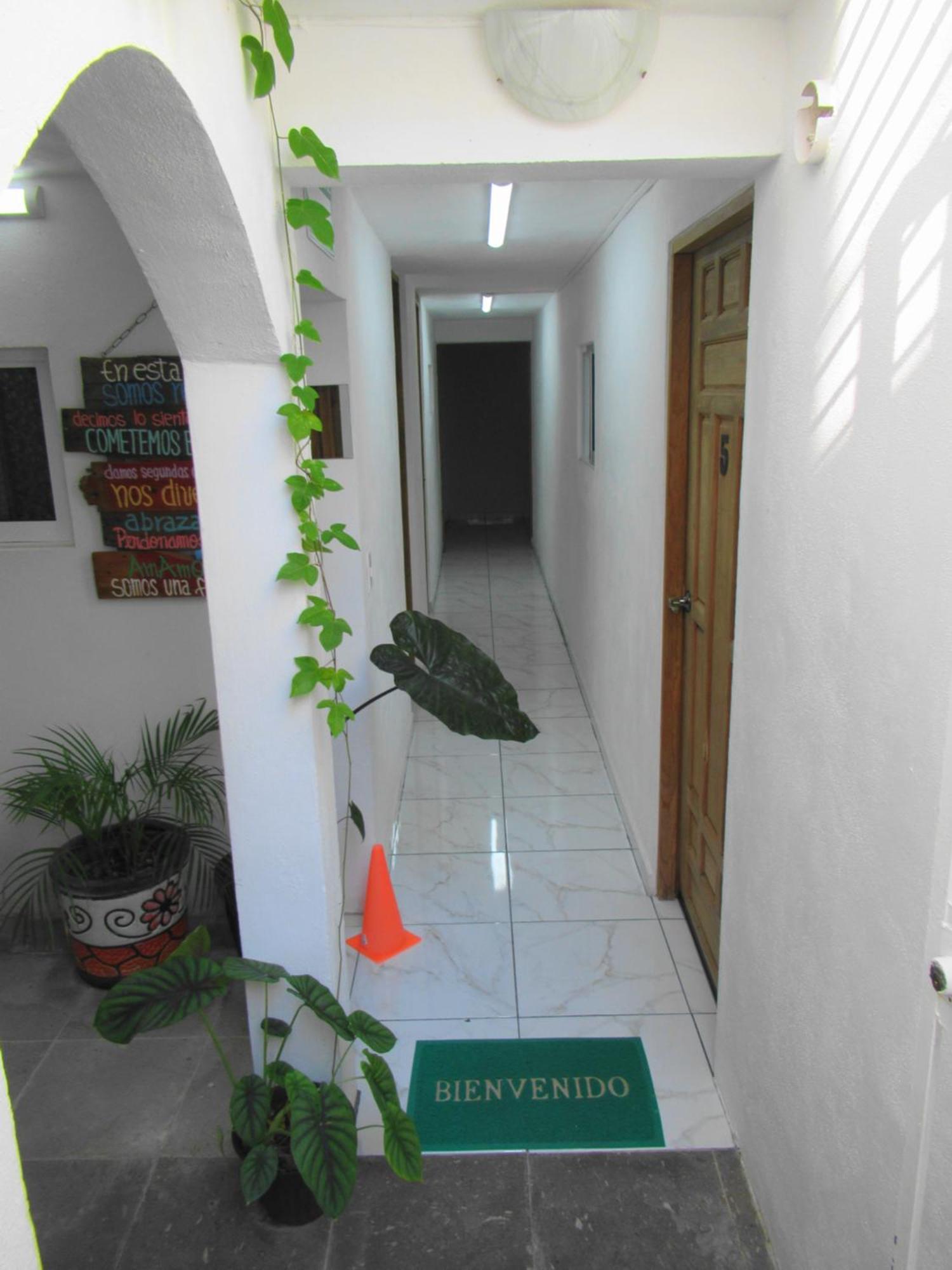 Cocos, imagen 3