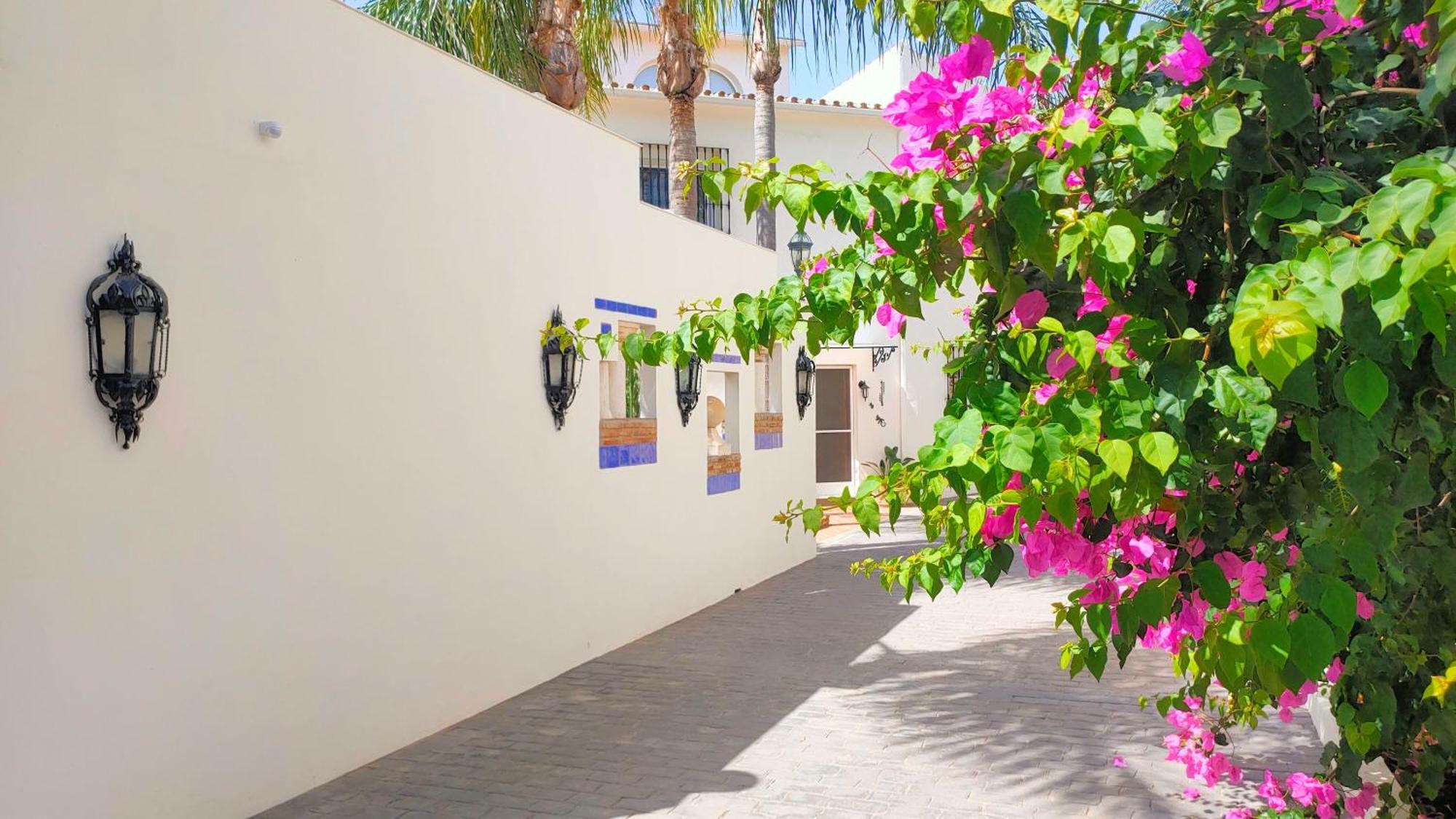 Finca La Vida Loca- For adult guests — photo 4
