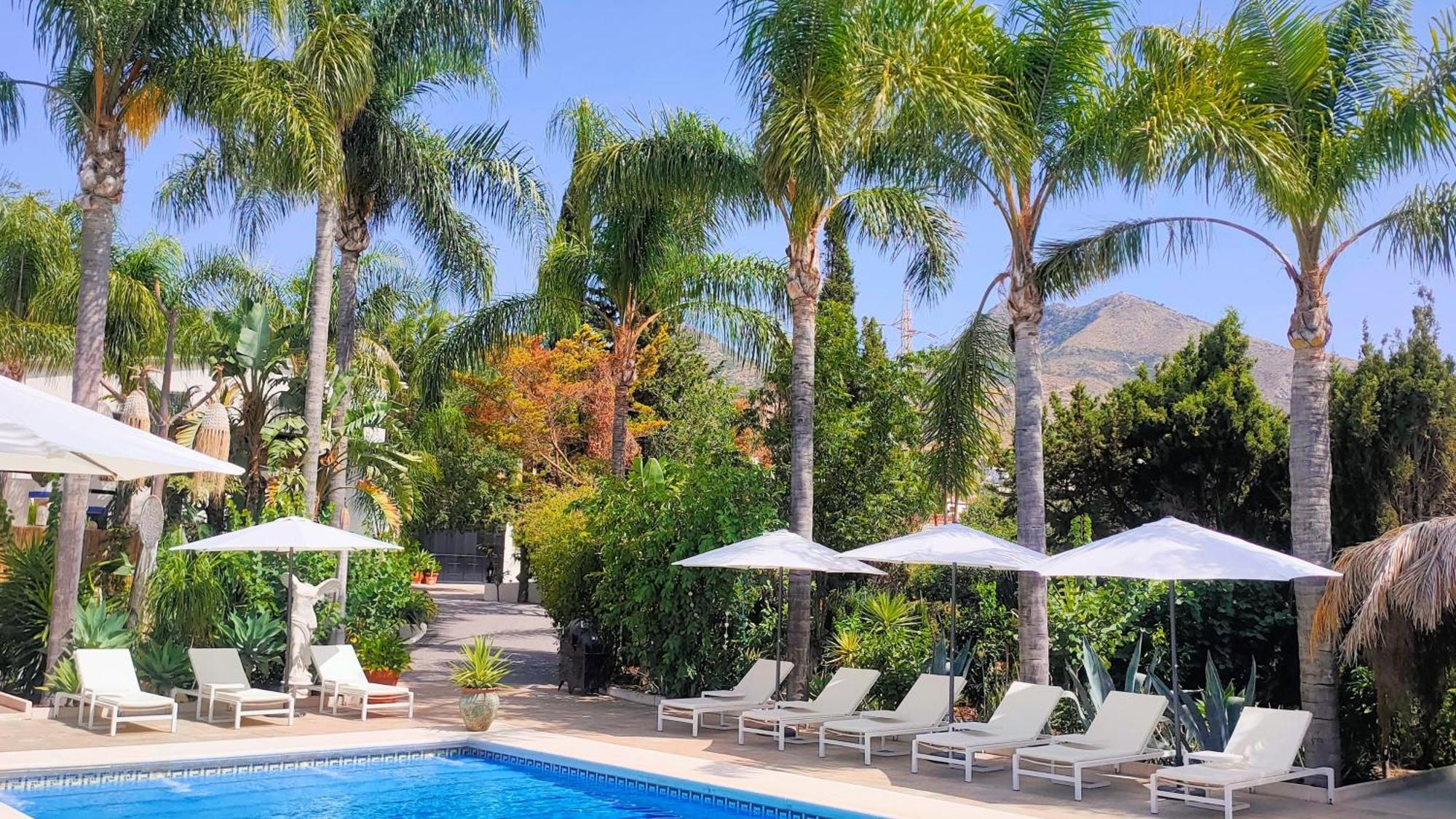Finca La Vida Loca- For adult guests — photo 3