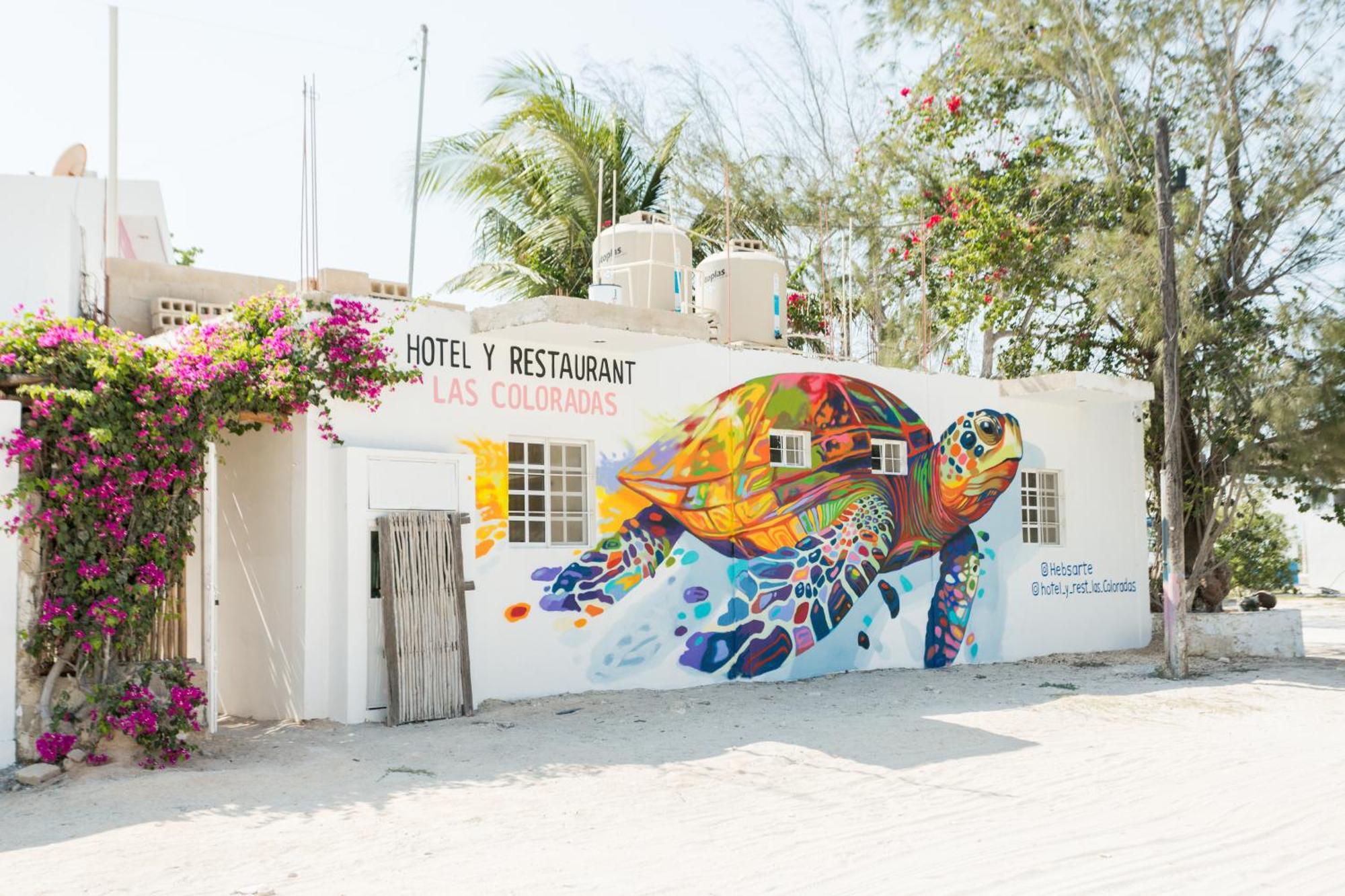 Tortuga LAS COLORADAS