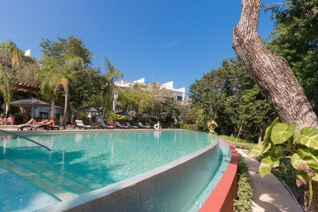 Tropical Escape, foto 8
