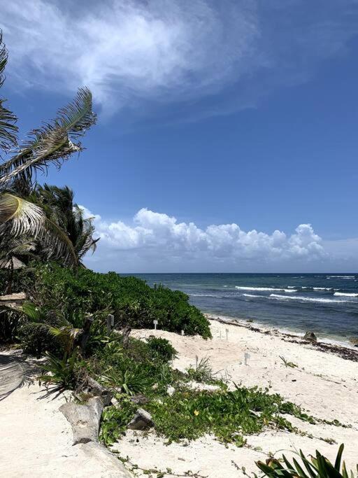 Tropical Escape, foto 12