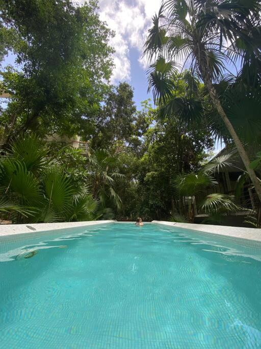 Tropical Escape, foto 10
