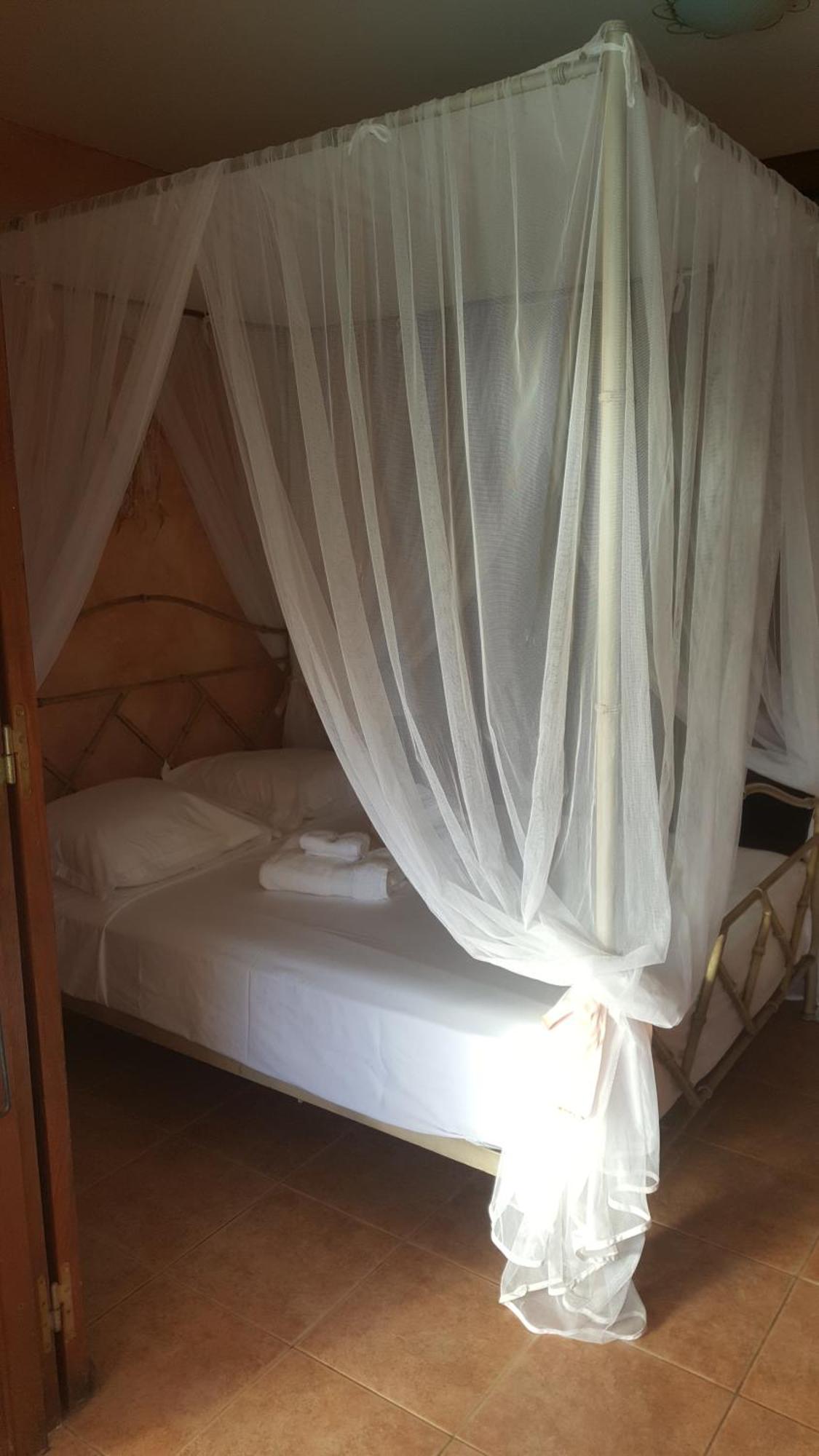 Agréable chambre indépendante avec sa SDB son carbet-cuisine et piscine, imagen 3