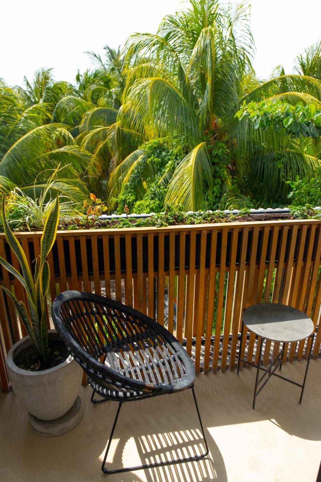 Casa Peregrino Holbox, imagen 2