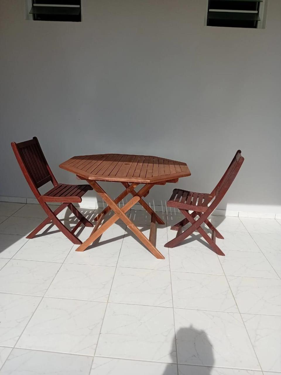 Le Latanier bleuté, imagen 4