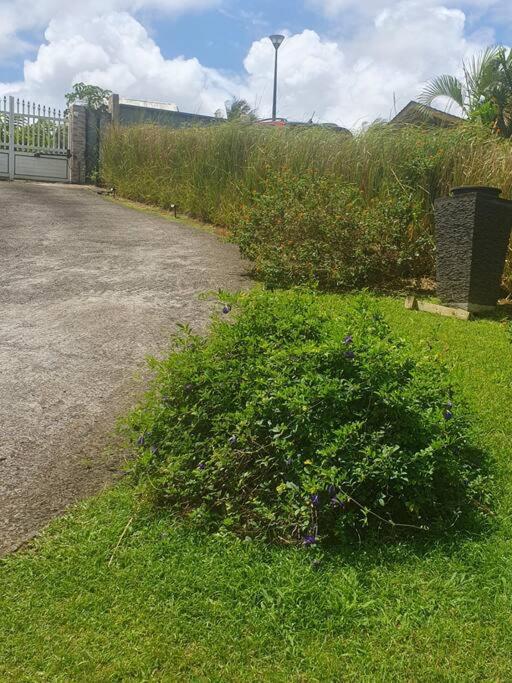 Green Garden, foto 11