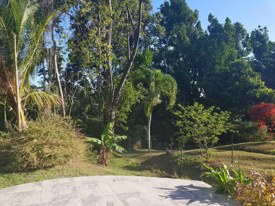 Green Garden, foto 12