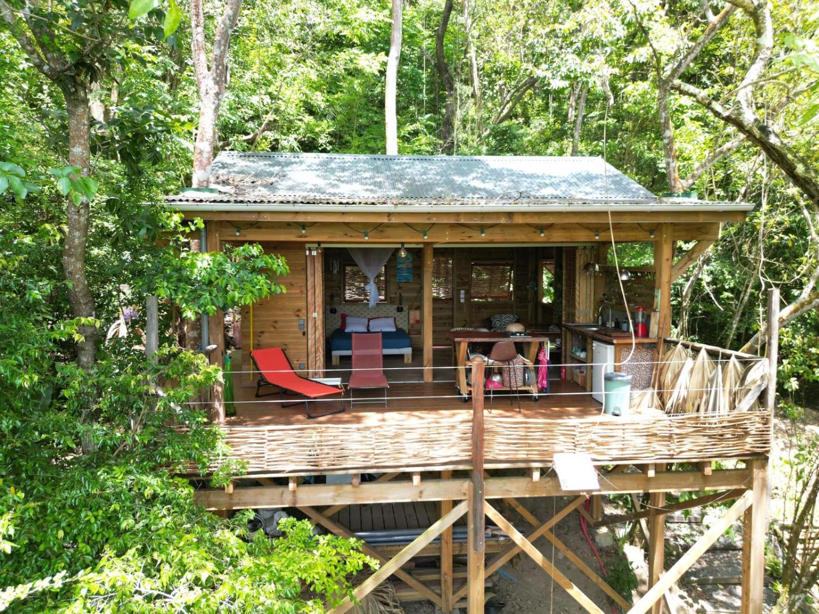 cabane entre les arbres