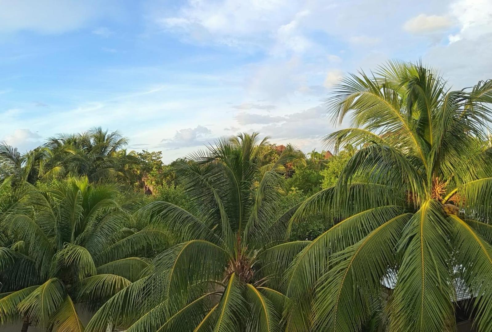 Casa aloha-Isla Holbox, foto 7