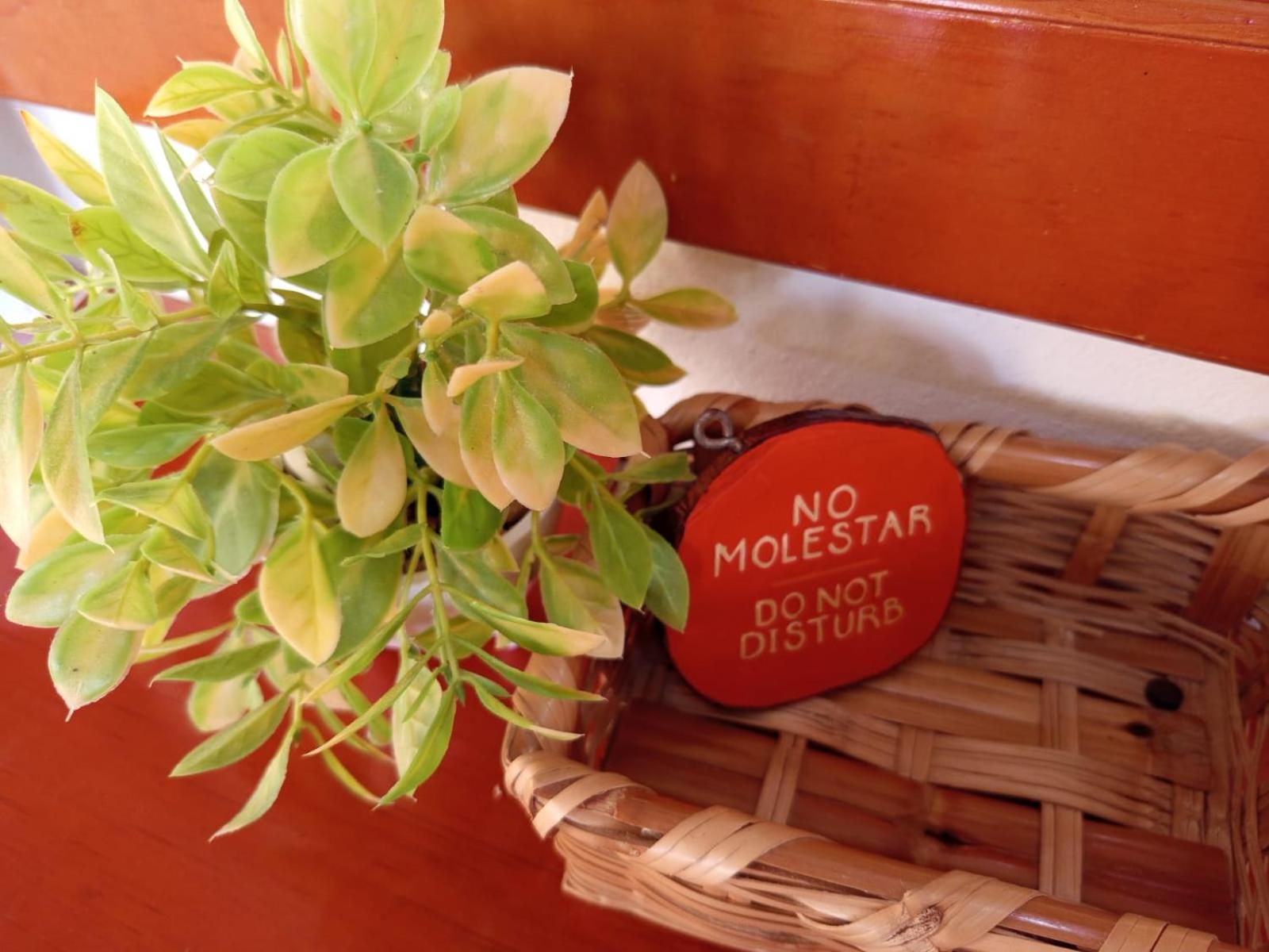 Casa aloha-Isla Holbox, foto 14