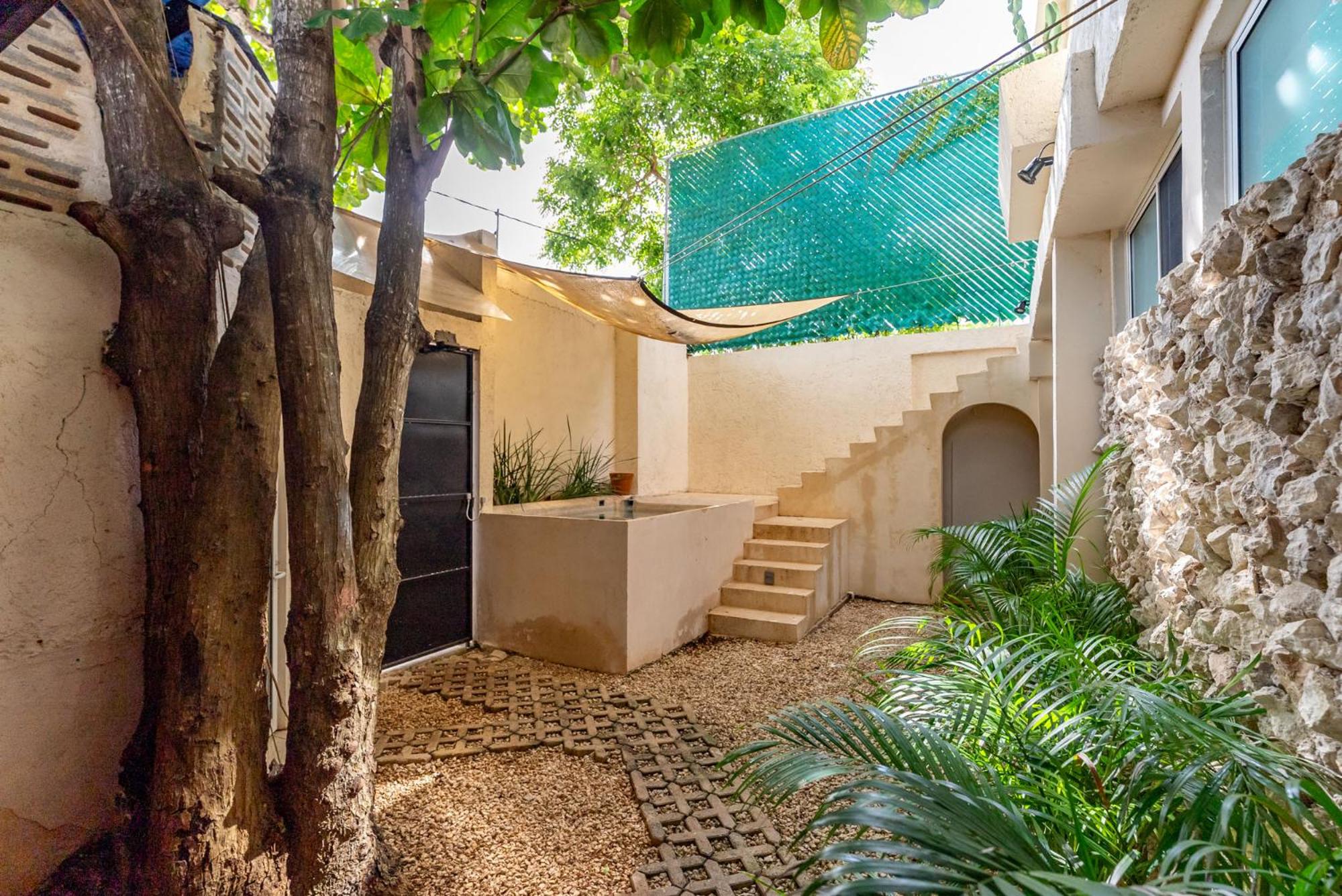 Casa Jicama, imagen 2