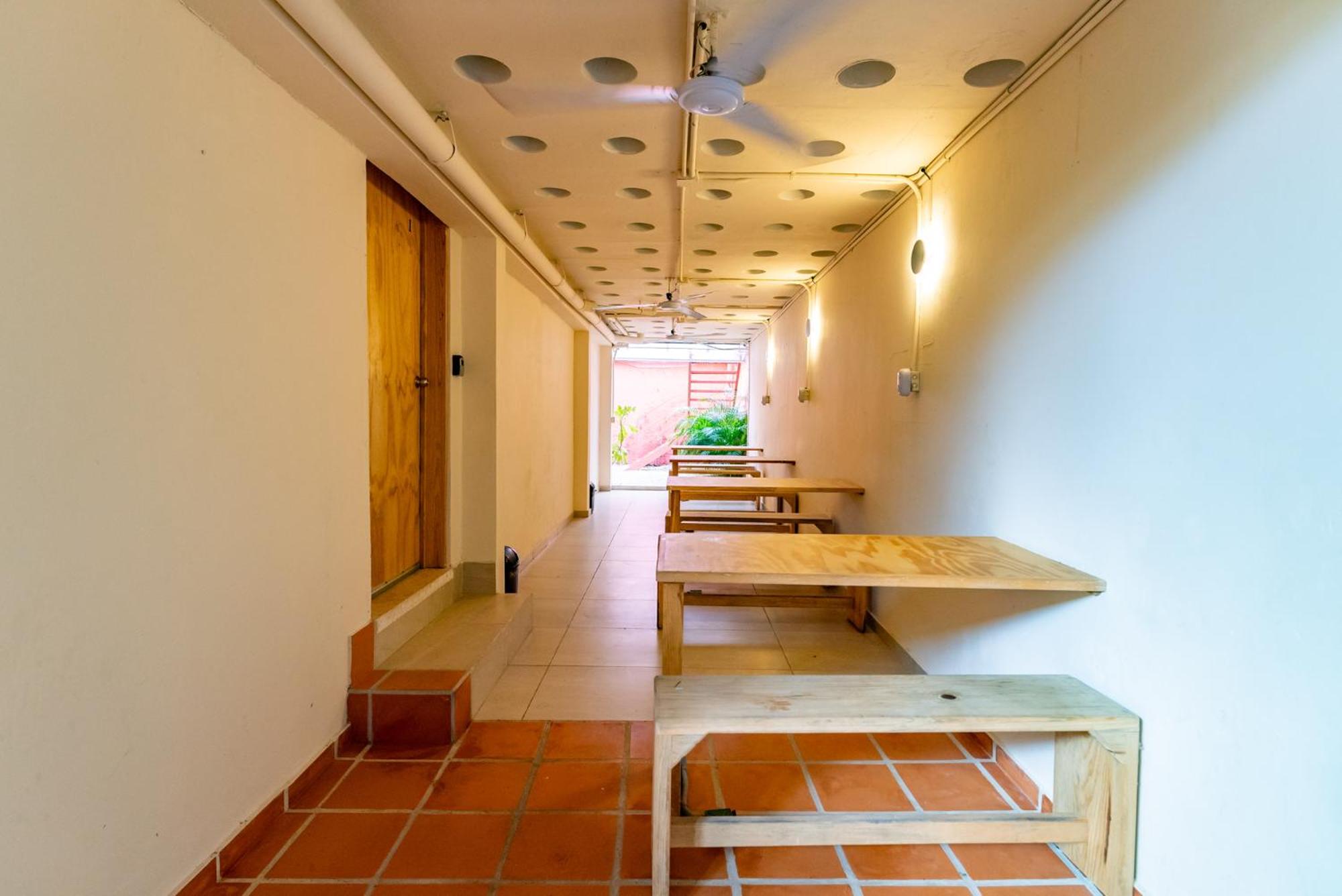 Casa Jicama, foto 7