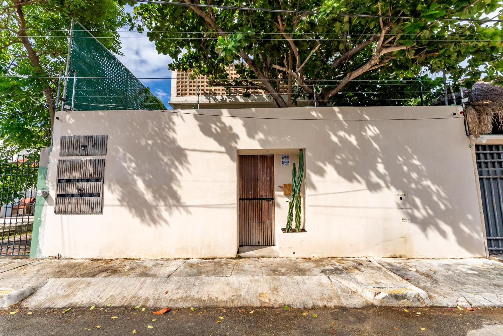 Casa Jicama, imagen 3