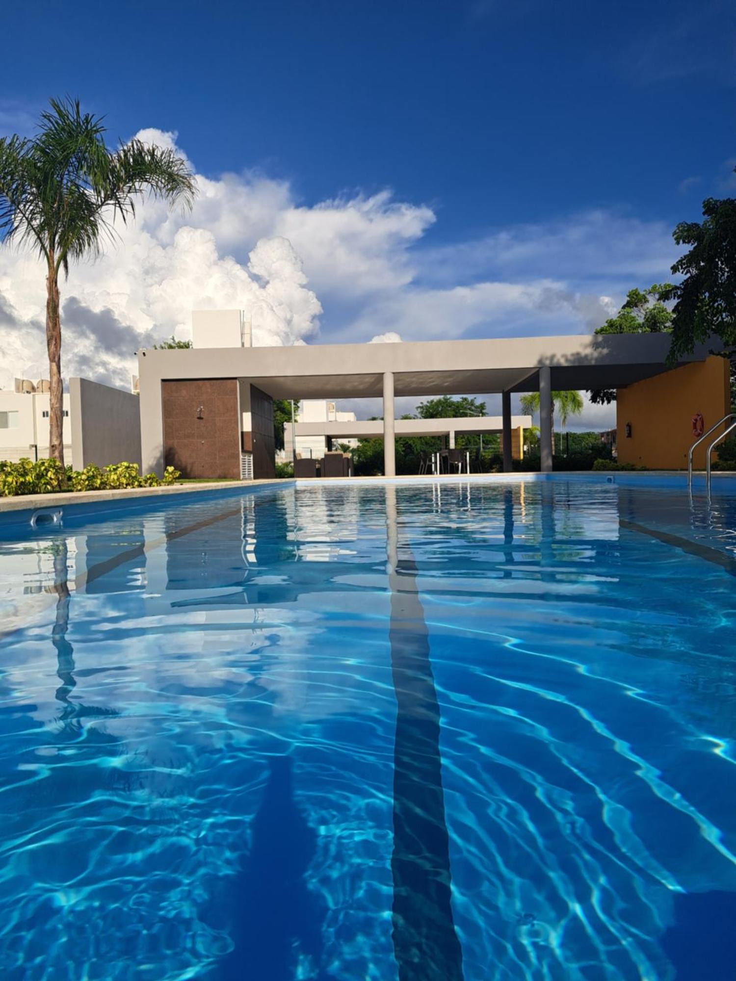Jardines del sur, imagen 2
