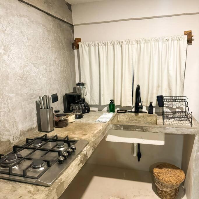 Cozy Tropical Suite for 1-4 Pp in Isla Mujeres, foto 13