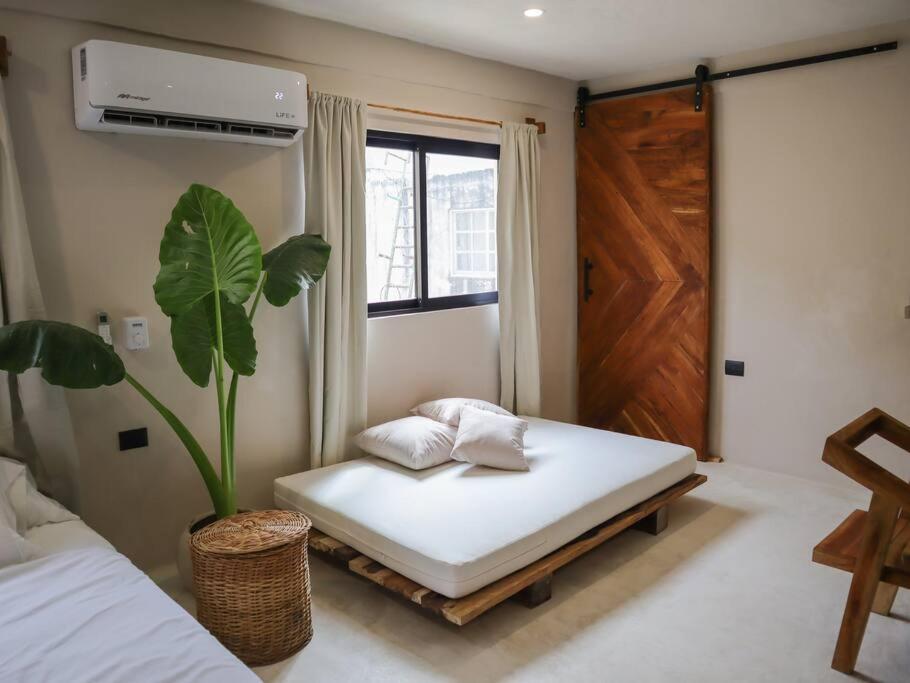 Cozy Tropical Suite for 1-4 Pp in Isla Mujeres, foto 16