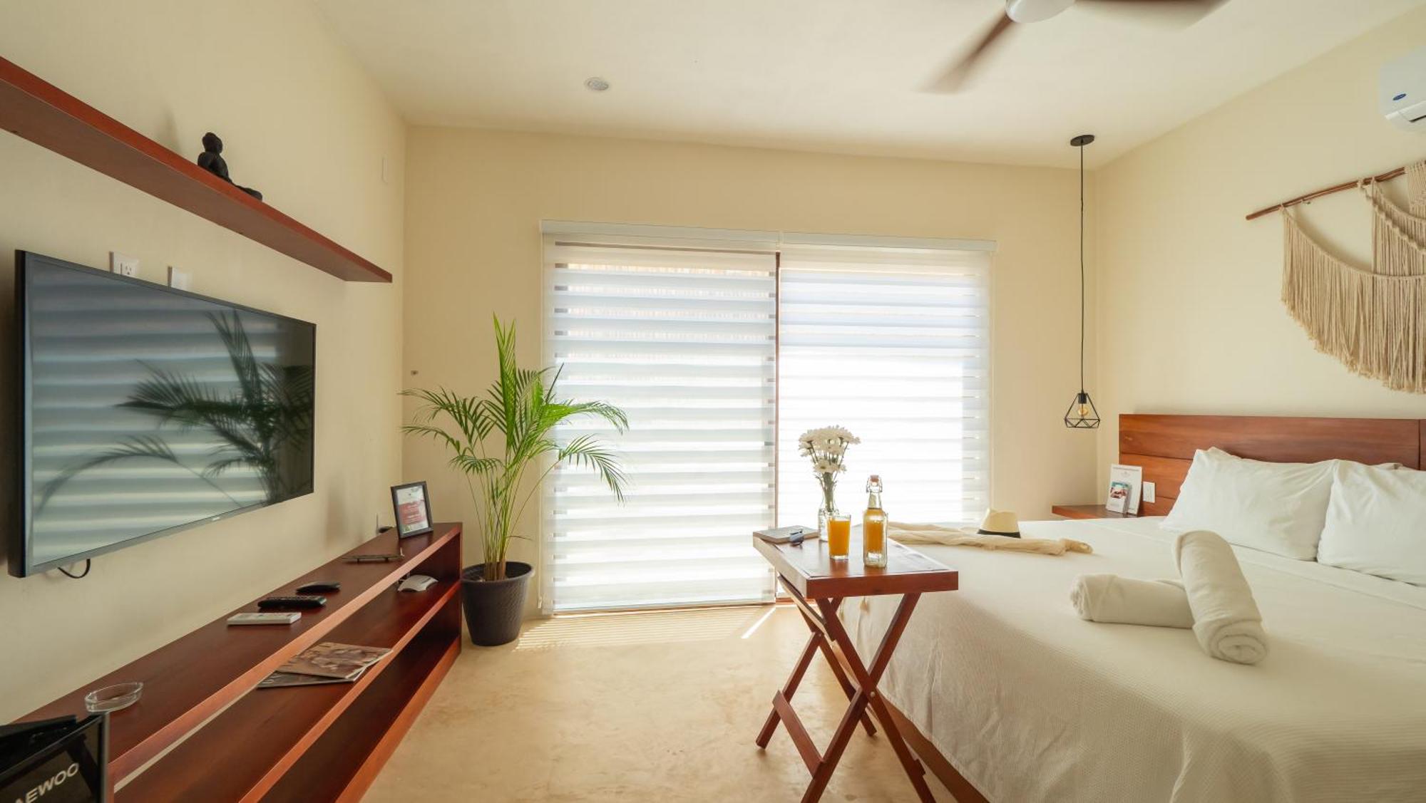 Shankara Holbox, foto 11