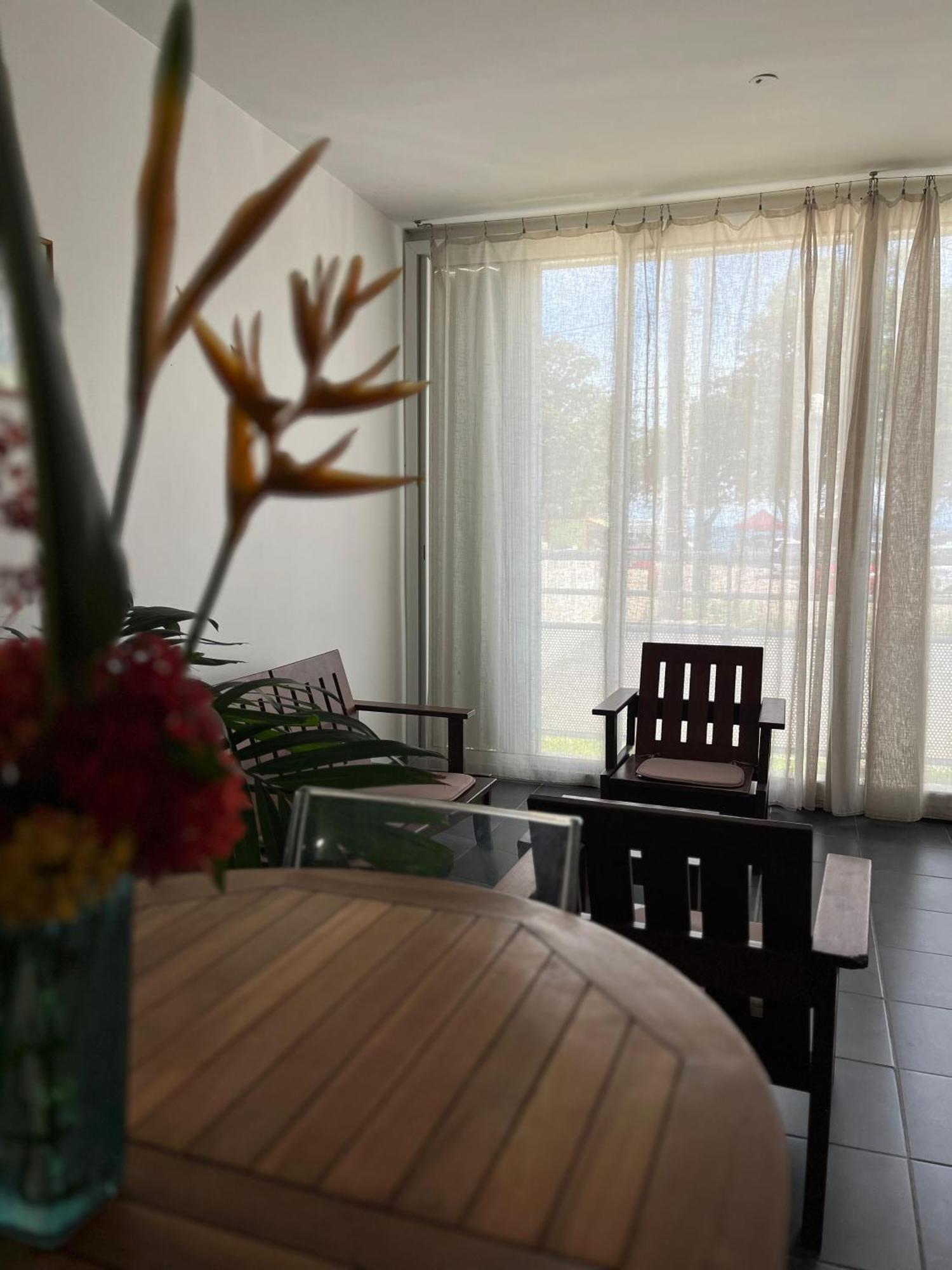Jasmin - Appartement face plage Diamant, foto 14