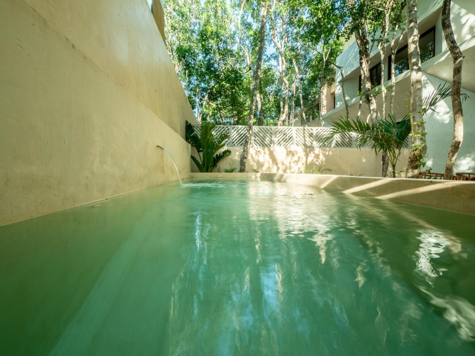 Casa Arrayan Tulum Jungle, imagen 5