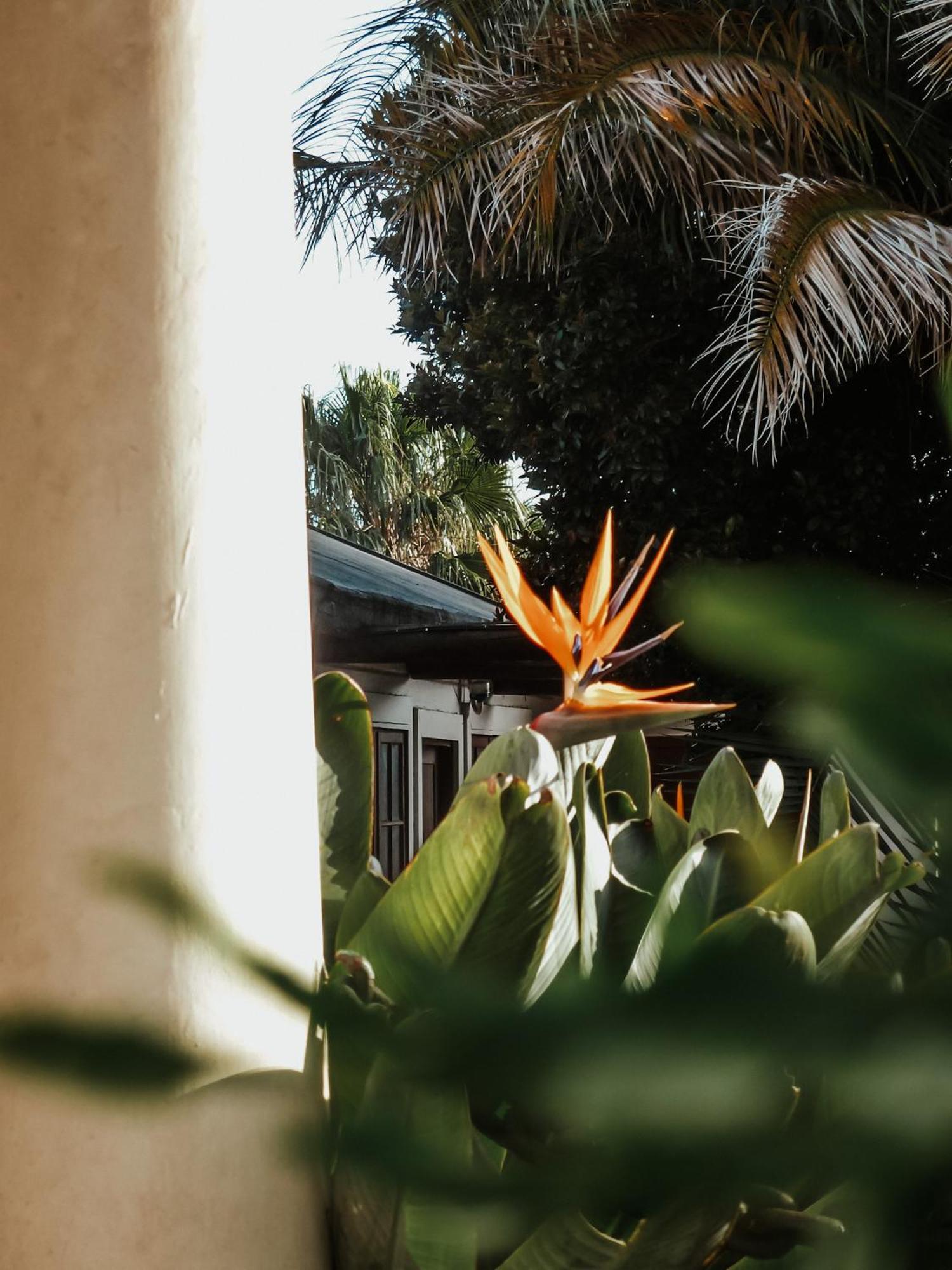 King George's Guest House — foto 4