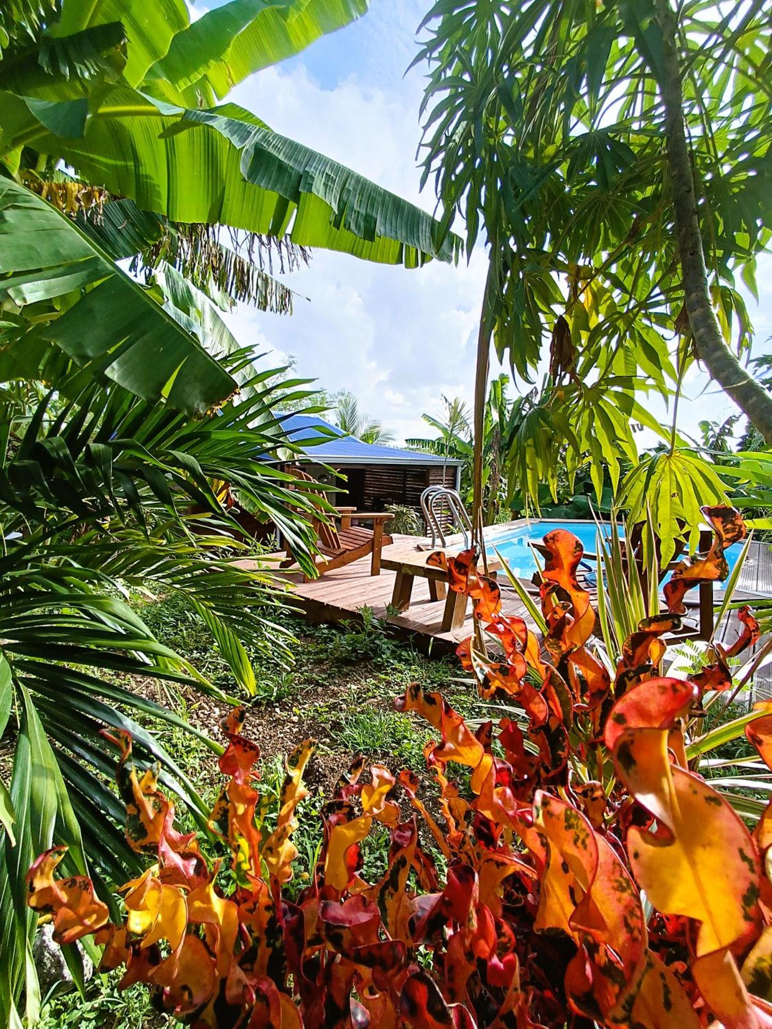 Gites kaz à klemence - bungalow Colibris, foto 14