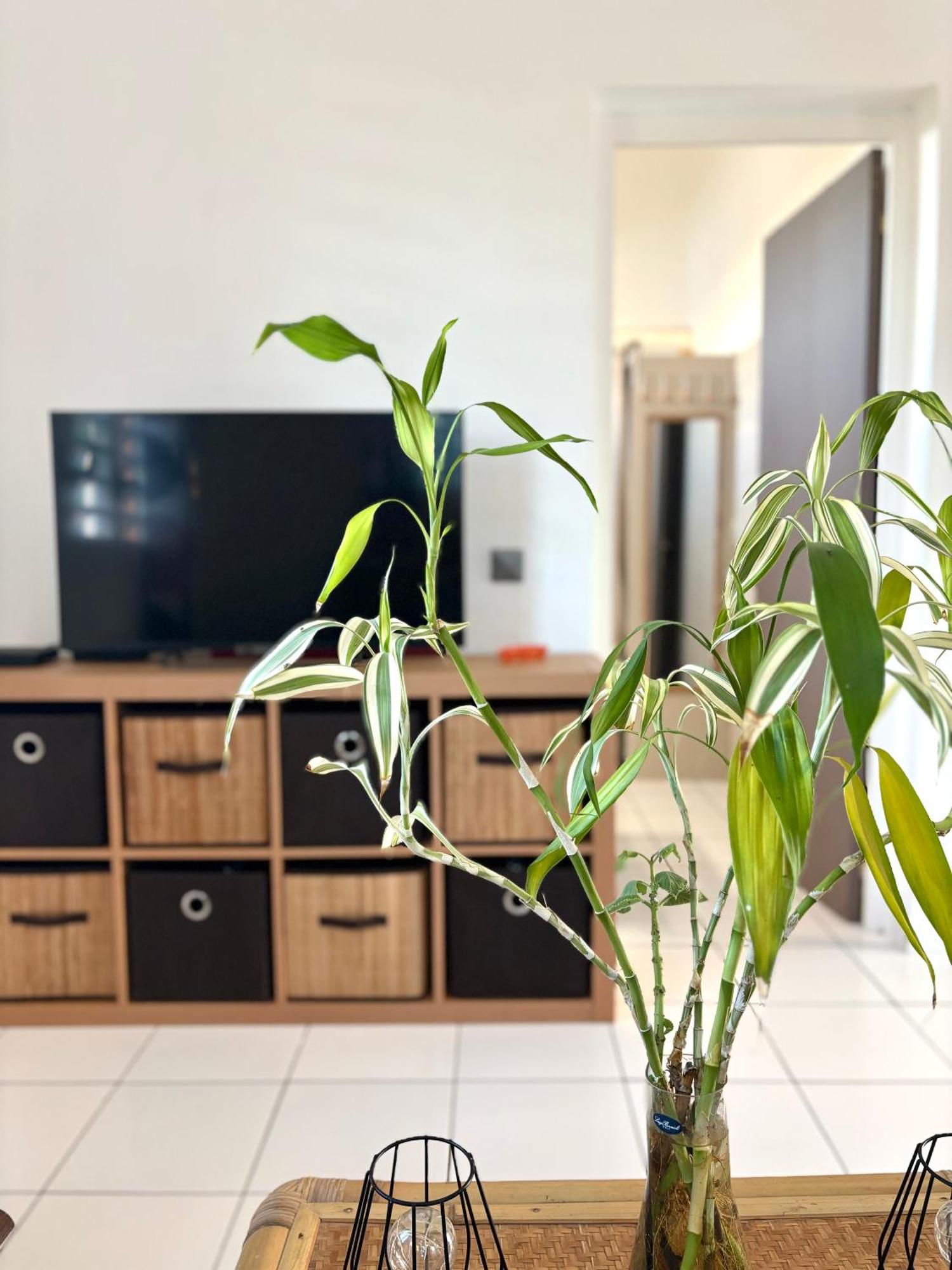 Le Gîte Ohana - Proches des plages et jardin privé