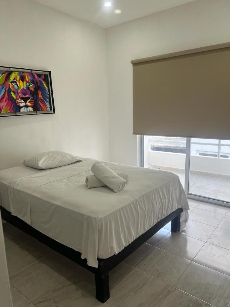 Cozy Apartment 1A pUERTO mORELOS, imagen 2
